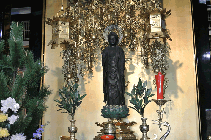 真宗大谷派 光照寺｜堺市北区 地下鉄新金岡近く 浄土真宗・東本願寺のお寺です